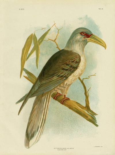 Kanalrechnung, 1891 von Gracius Broinowski